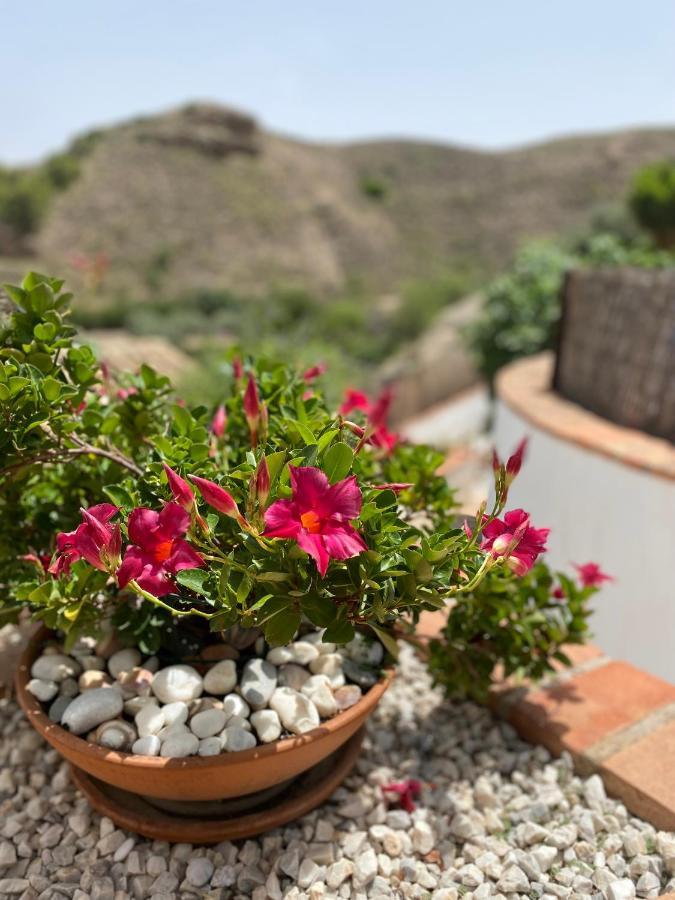 Ferienwohnung Cortijo Perejil, A Tranquil Mountain Escape & Private Pool Oria Exterior foto