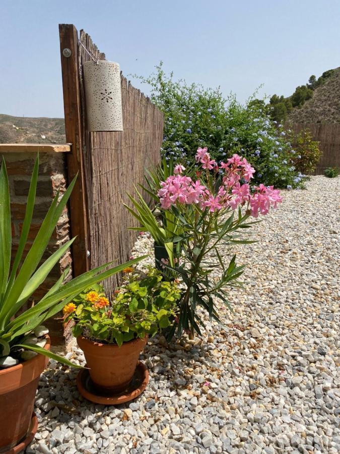 Ferienwohnung Cortijo Perejil, A Tranquil Mountain Escape & Private Pool Oria Exterior foto