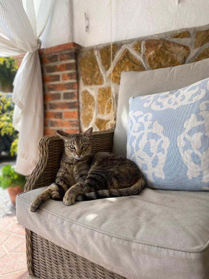 Ferienwohnung Cortijo Perejil, A Tranquil Mountain Escape & Private Pool Oria Exterior foto